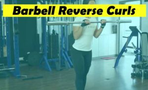 Image for a women doing reverse grip barbell curl