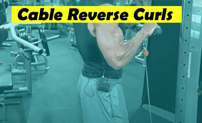 Cable Reverse Curls