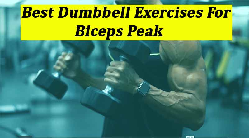 Best Dumbbell Exercises For The Biceps Peak