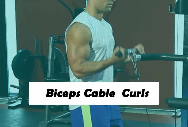 Biceps Cable Curls