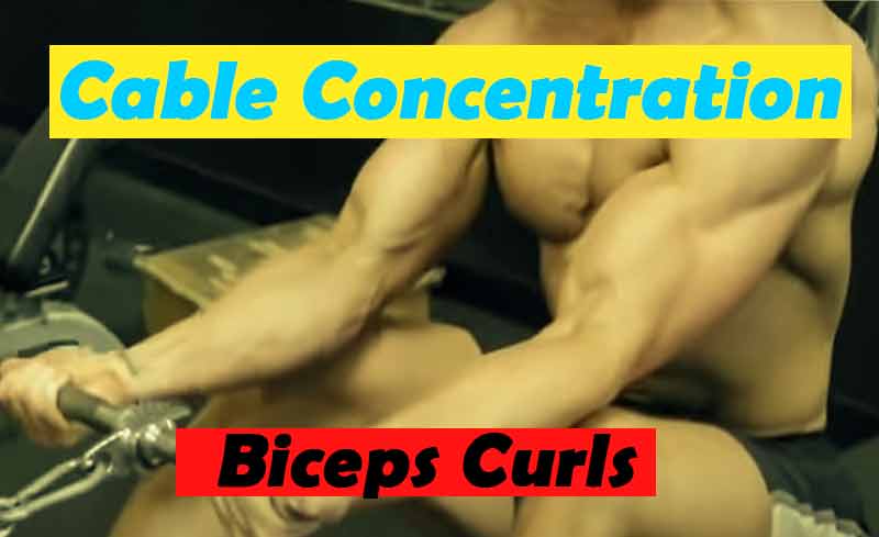 Cable Concentration Biceps Curls