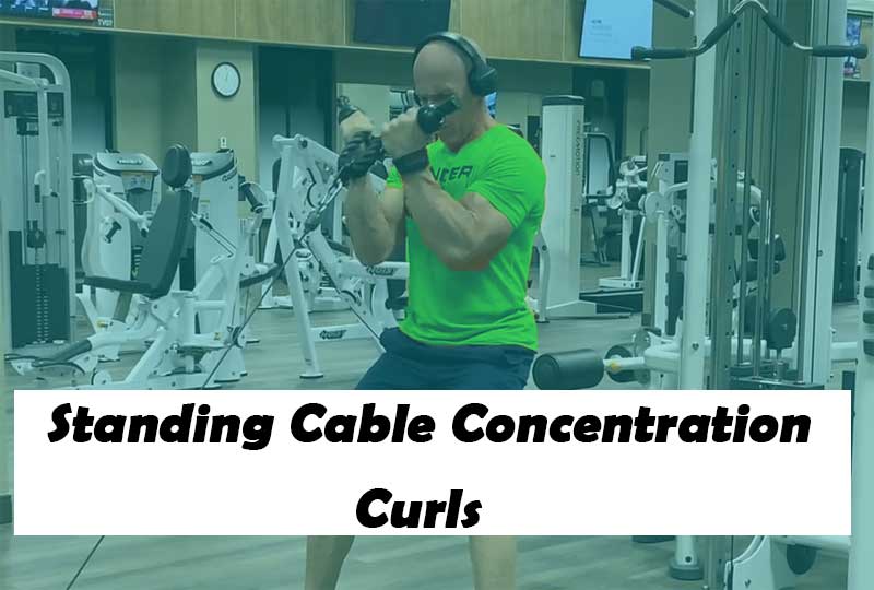 Standing Cable Concentration Curls