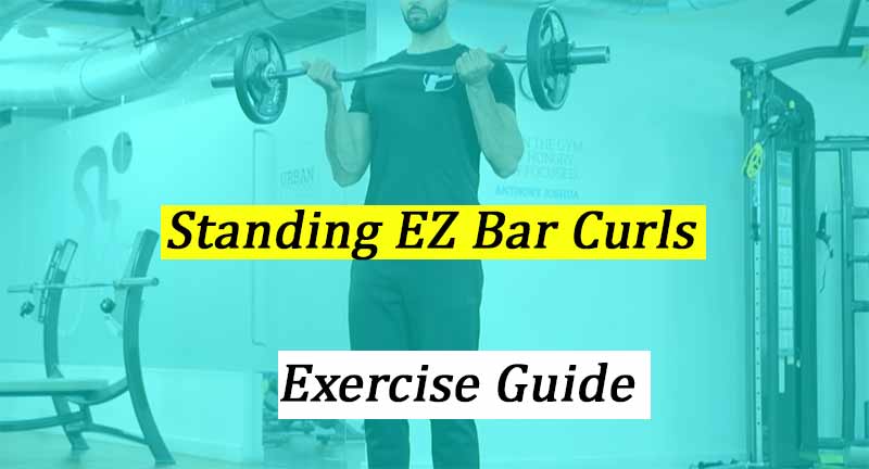 Standing EZ Bar Curls Beginner's Guide
