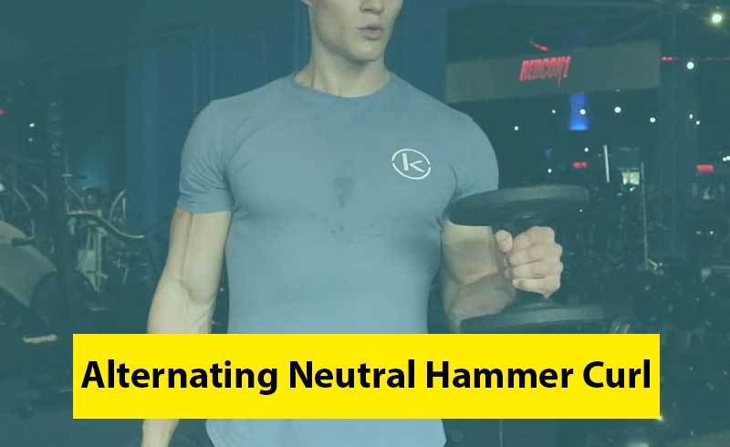 Alternating Neutral Hammer Curl Image