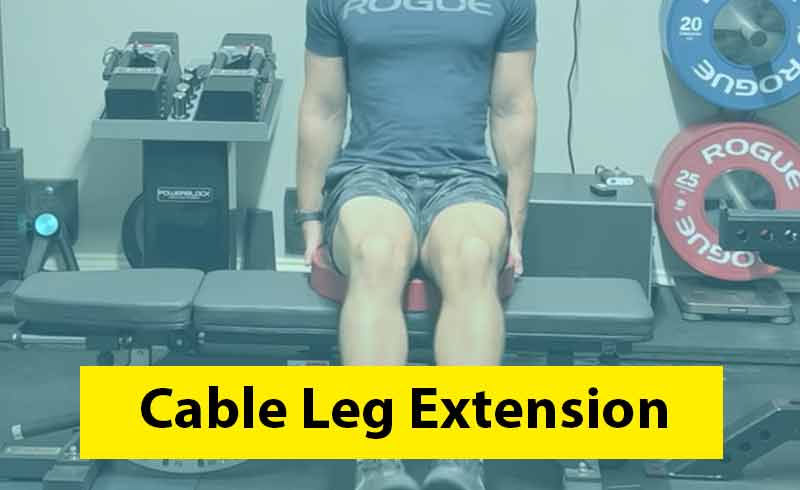 Cable Leg Extension Image