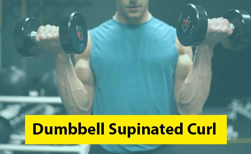 Dumbbell Supinated Curl Image
