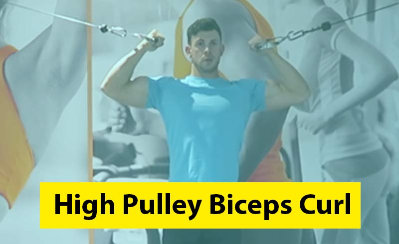 High Pulley Biceps Curl