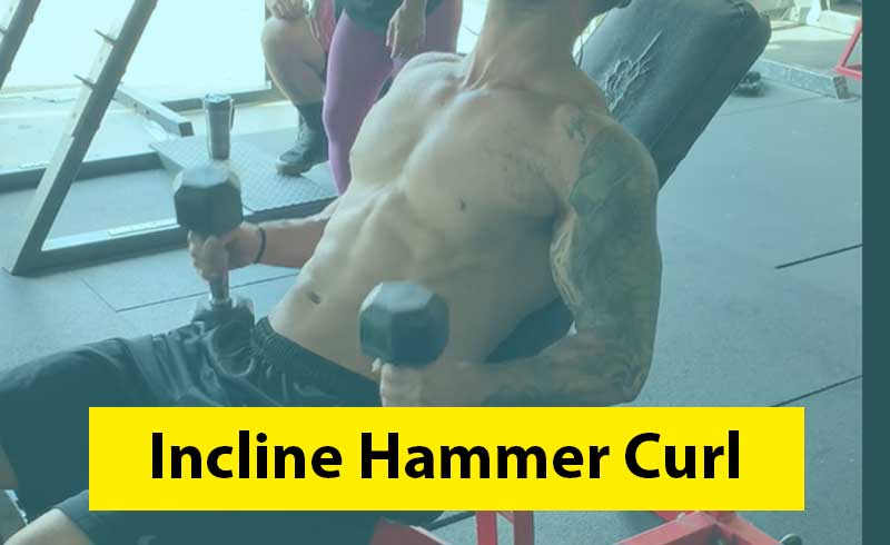 Incline Hammer Curl Image