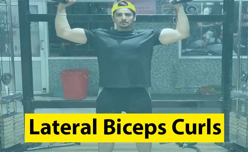 Lateral biceps curls guide