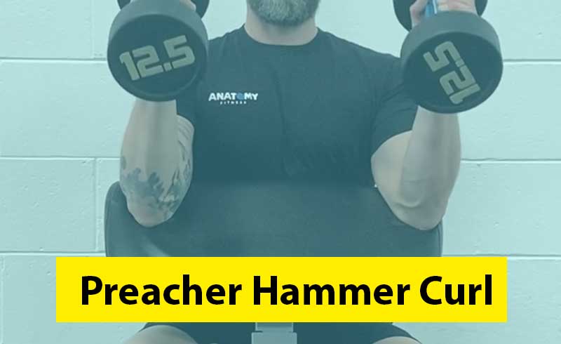 Preacher Hammer Curl Image