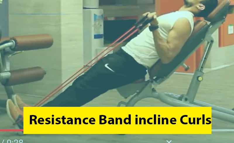 Resistance Band incline Curls Image
