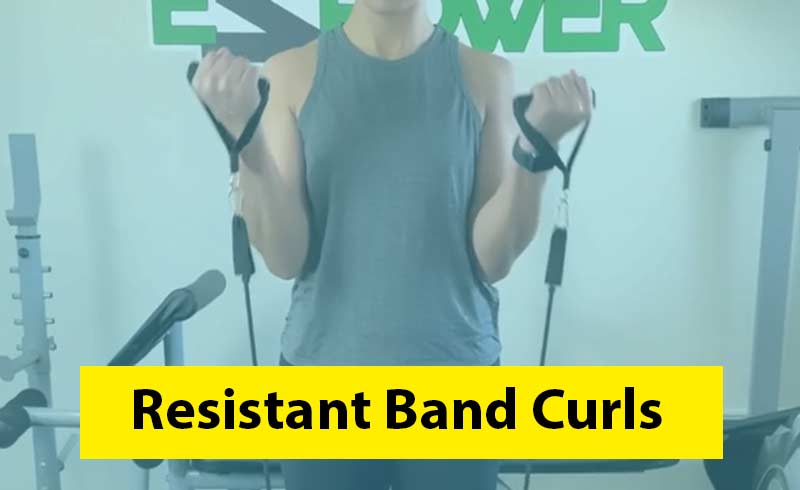 Resistance Band Curls Image