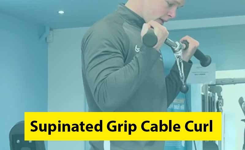 Supinated Grip Cable Curl Image