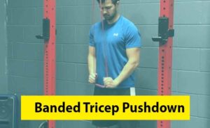 Banded Tricep Pushdown Image