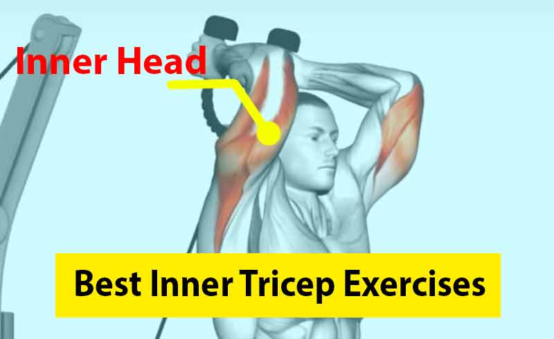 Best Inner Tricep Exercises Image