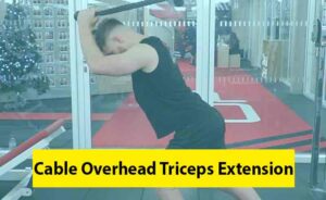 Cable Overhead Triceps Extension Image