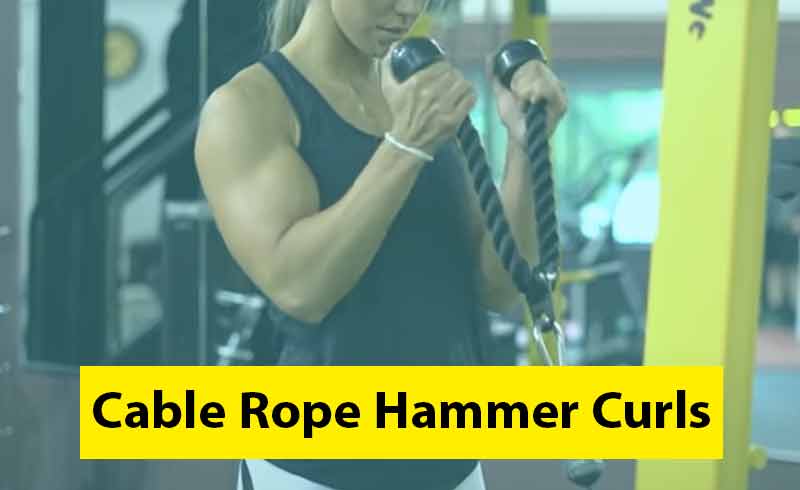 Cable Rope Hammer Curls Image