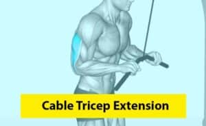 Cable Tricep Extension Image