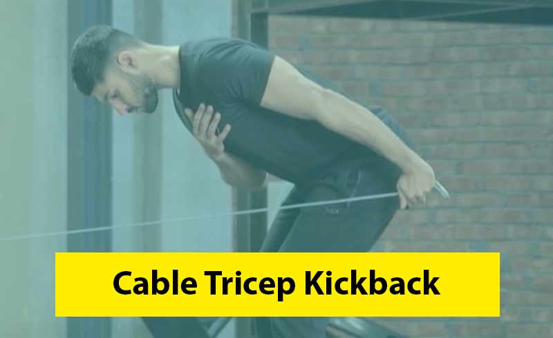 Cable Tricep Kickback Image