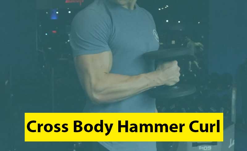 Cross Body Hammer Curl Image