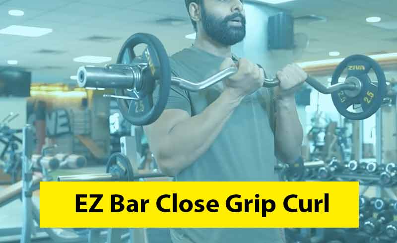 EZ Bar Close Grip Curl Image