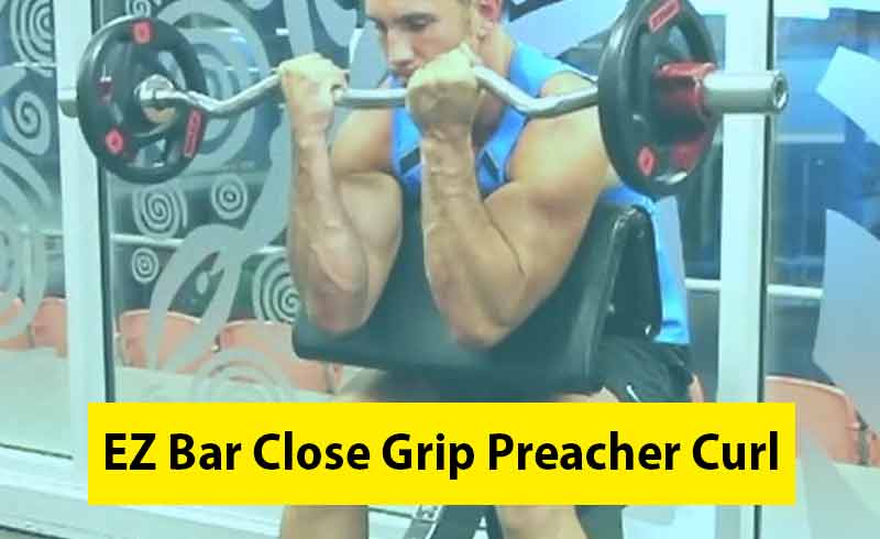 EZ Bar Close Grip Preacher Curl Image