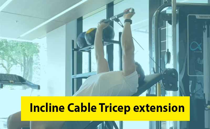 Incline Cable Tricep extension Image