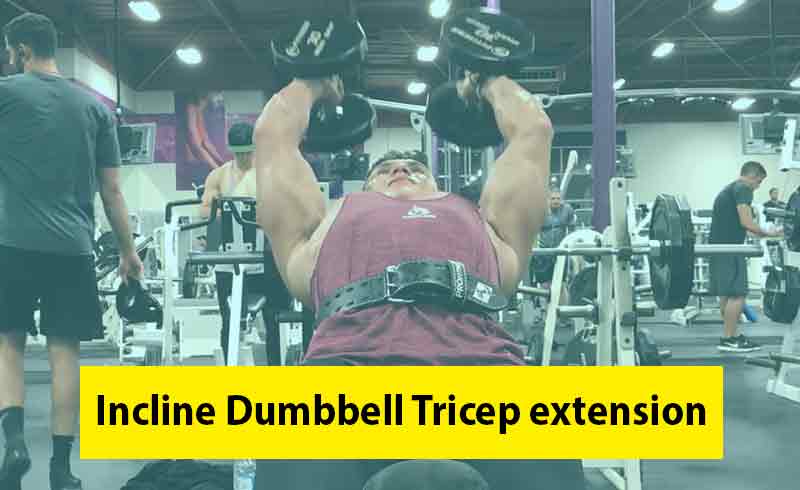 Incline Dumbbell Tricep Extension Image