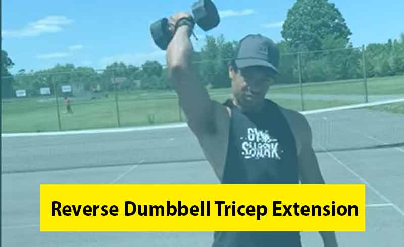 Reverse Dumbbell Tricep Extension Image