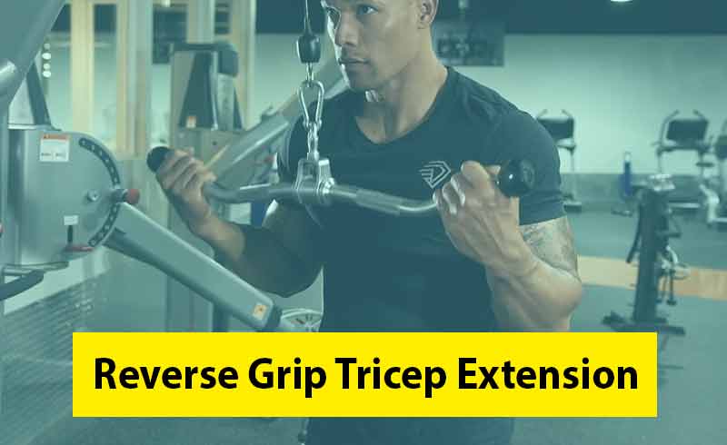 Reverse Grip Tricep Extension Image