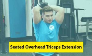 Seated Overhead Tricep Extension Image