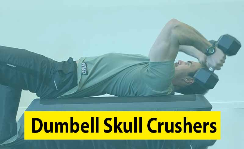 Dumbbell Skull Crushers Image
