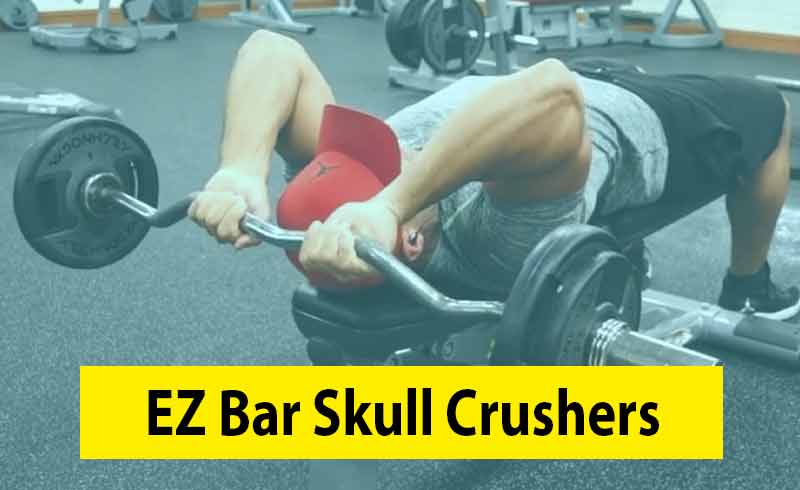 EZ Bar Skull Crushers Image