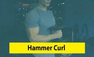 Image of a Man doing Hammer Curl Exercise