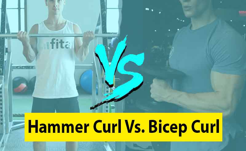 Hammer Curl vs Bicep Curl Image