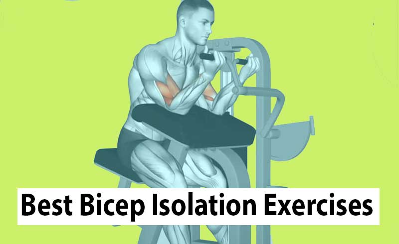 Image For One Of The Best Bicep Isolation Exercises