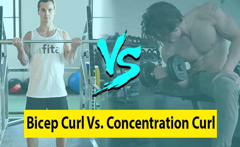 Image Showing Concentration Curl VS. Bicep Curl