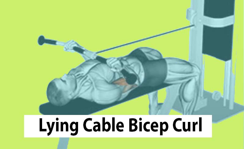 Image Shows a man doing the Iying Cable Curl
