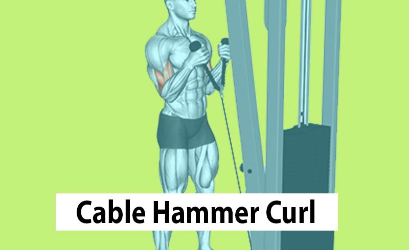Image for a man doing Cable Hammer Curl