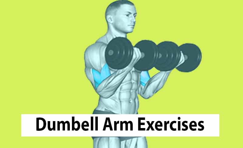 Image for one of the most basic Dumbbell Arm Exercises