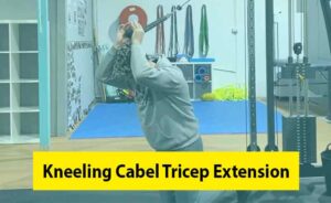 Kneeling Cable Tricep Extension Image