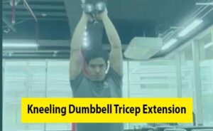 Kneeling Dumbbell Overhead Triceps Extension Imaeg