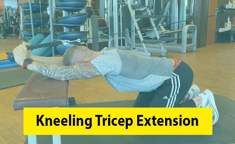 Kneeling Tricep Extention Image 1