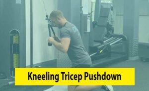 Kneeling Tricep Pushdown Image