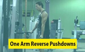 Picture for a Men Doing One Arm Reverse Pushdowns