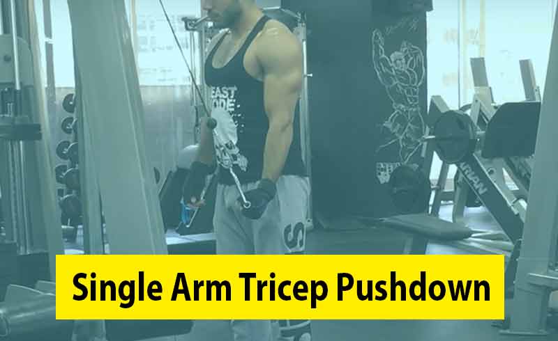 Picture for a Men Doing Single Arm Tricep Pushdown
