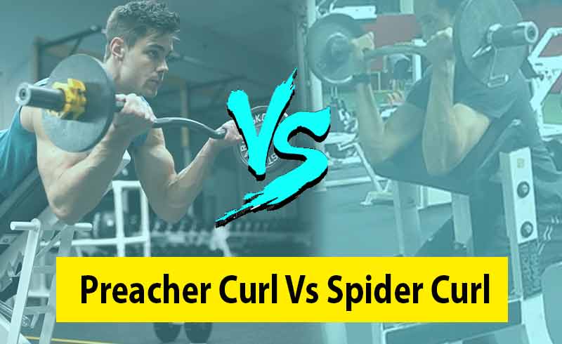 Preacher Curl Vs Spider Curl Image