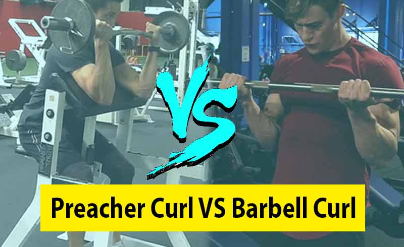 Preacher Curl vs Barbell Curl Image