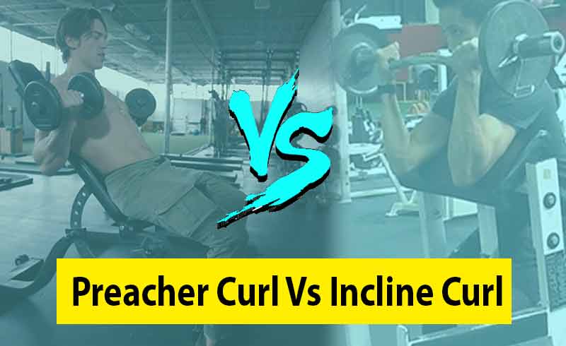Preacher Curl vs Incline Curl Image
