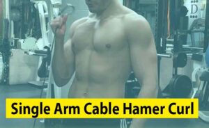 Single Arm Cable Hamer Curl Image
